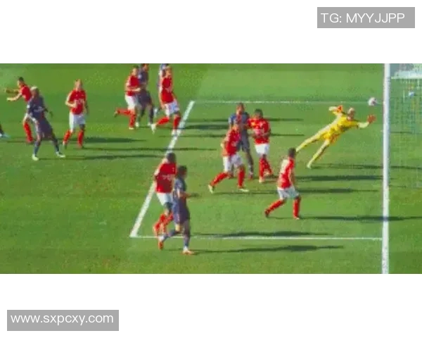 尼姆与昂热激战成平局2019年1月24日法甲精彩回顾与分析