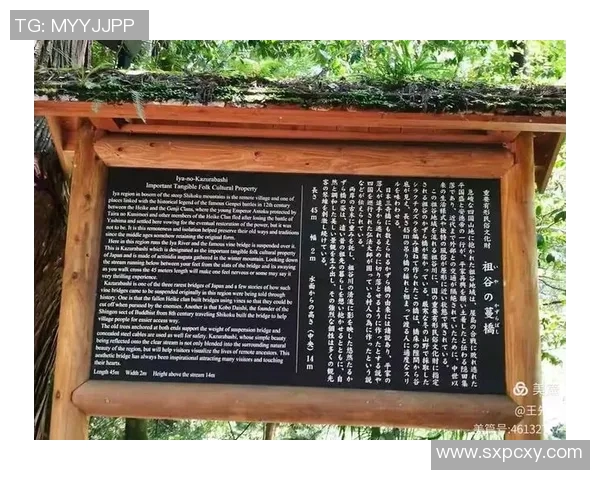 德岛旋涡与京都的魅力对比探索两地文化与自然之美