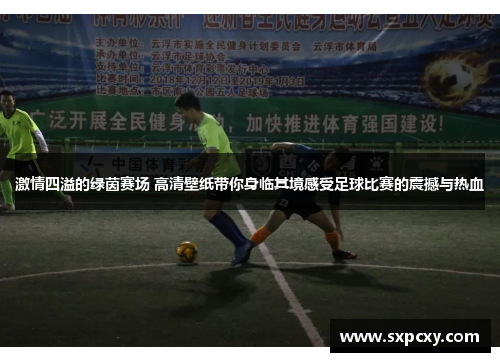 激情四溢的绿茵赛场 高清壁纸带你身临其境感受足球比赛的震撼与热血