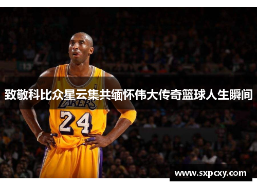 致敬科比众星云集共缅怀伟大传奇篮球人生瞬间