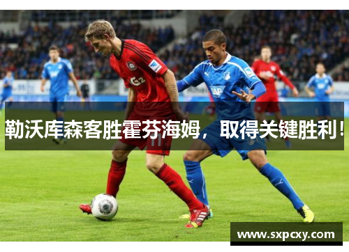 勒沃库森客胜霍芬海姆，取得关键胜利！